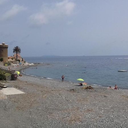 Agreable Studio Debut Cap Corse Proche Bastia San-Martino-di-Lota Екстер'єр фото