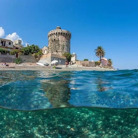 Agreable Studio Debut Cap Corse Proche Bastia San-Martino-di-Lota Екстер'єр фото